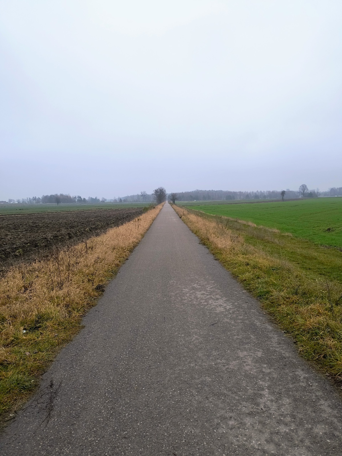 602f6e6c-dd6f-42b2-be33-079a750dbbb6