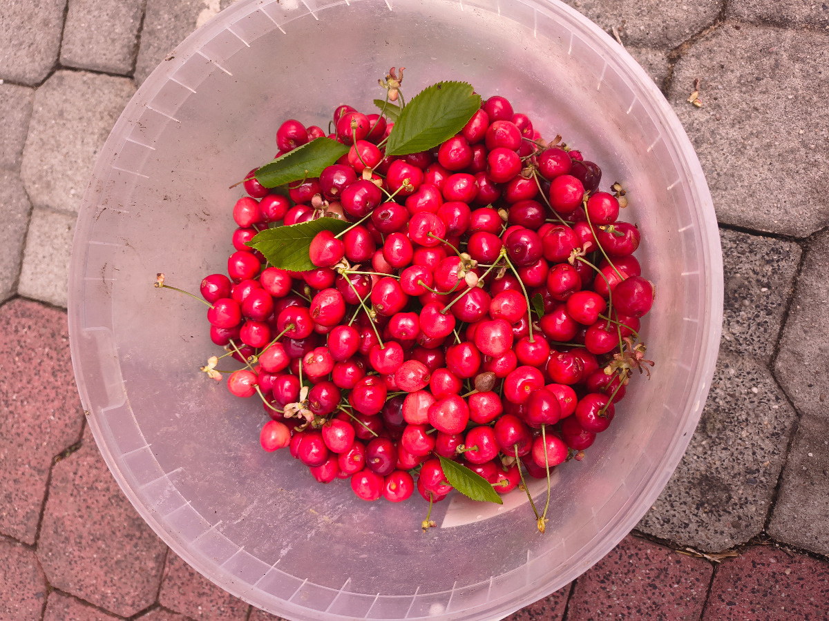 e6336a47-1348-4ecd-91d3-bea8b19fd743