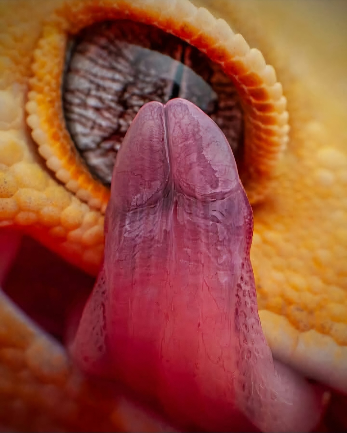 ff2bf7a0-703f-4458-99a6-f2b3b1efda6c