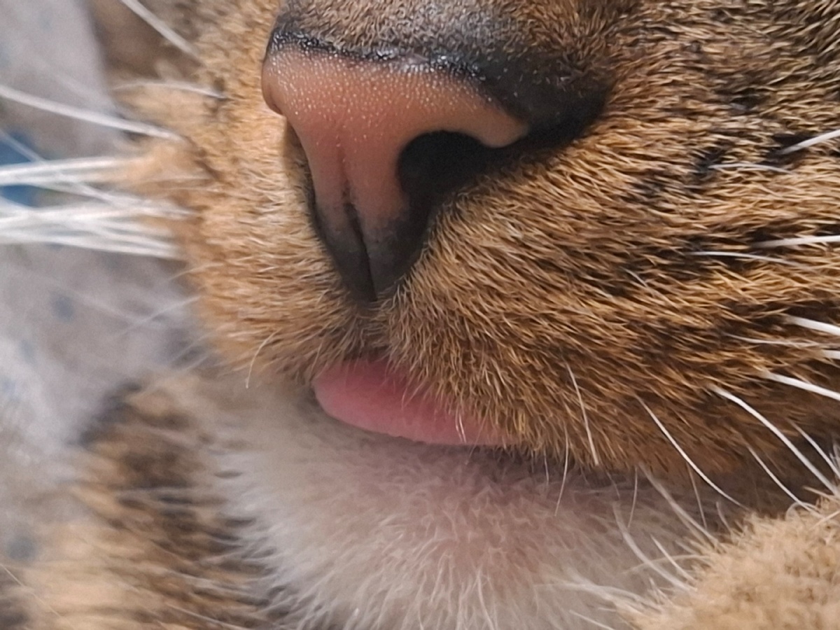 e1bfe8c5-d492-4aeb-adbe-ae94fb8d12ed