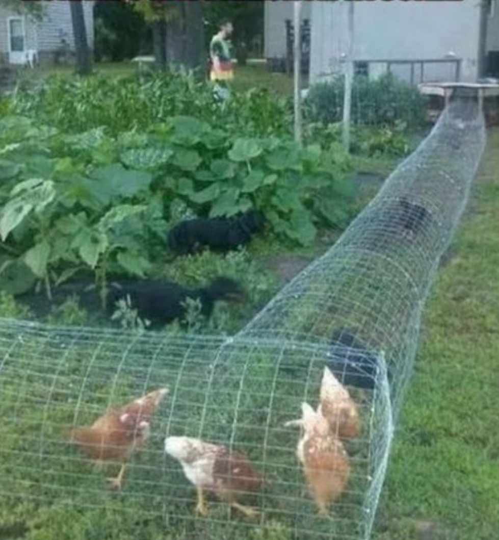 0263f0c3-c998-403a-a4b3-aa52ae6fde8e