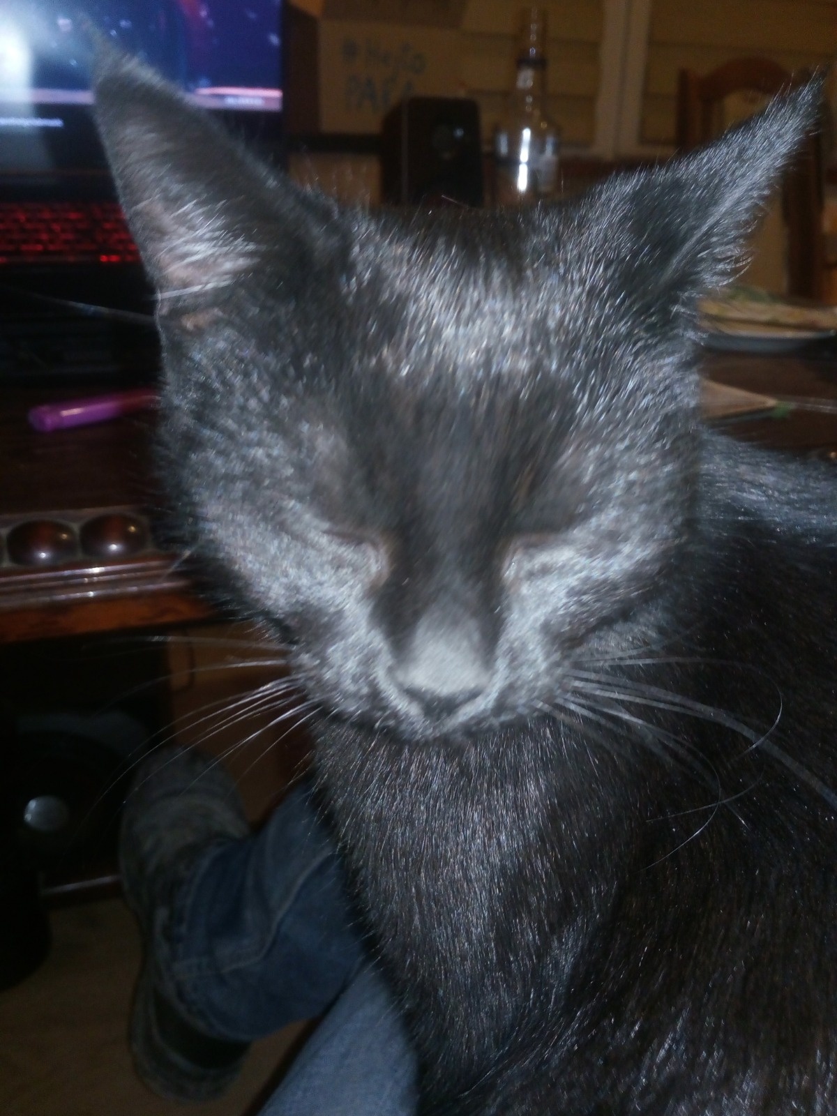 1179fb0b-4641-4893-839b-3750e215943e