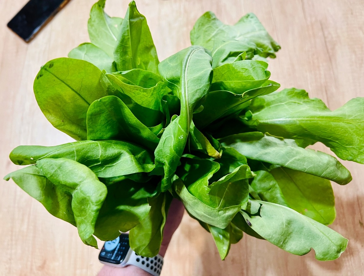 31b698ca-b6cb-43e5-8f19-02bdc7c19cbe