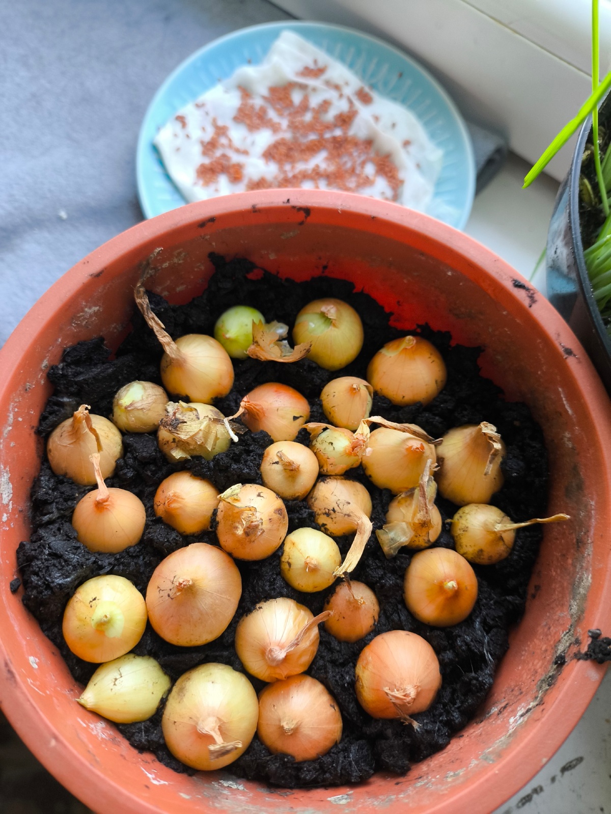 71d8092a-5248-418d-a11a-0eb888f35316