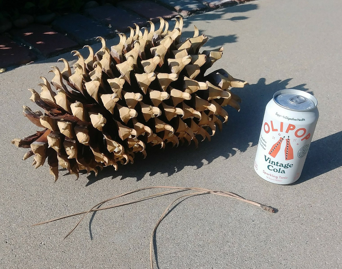 34d36555-63da-485b-91b3-873b570d987d