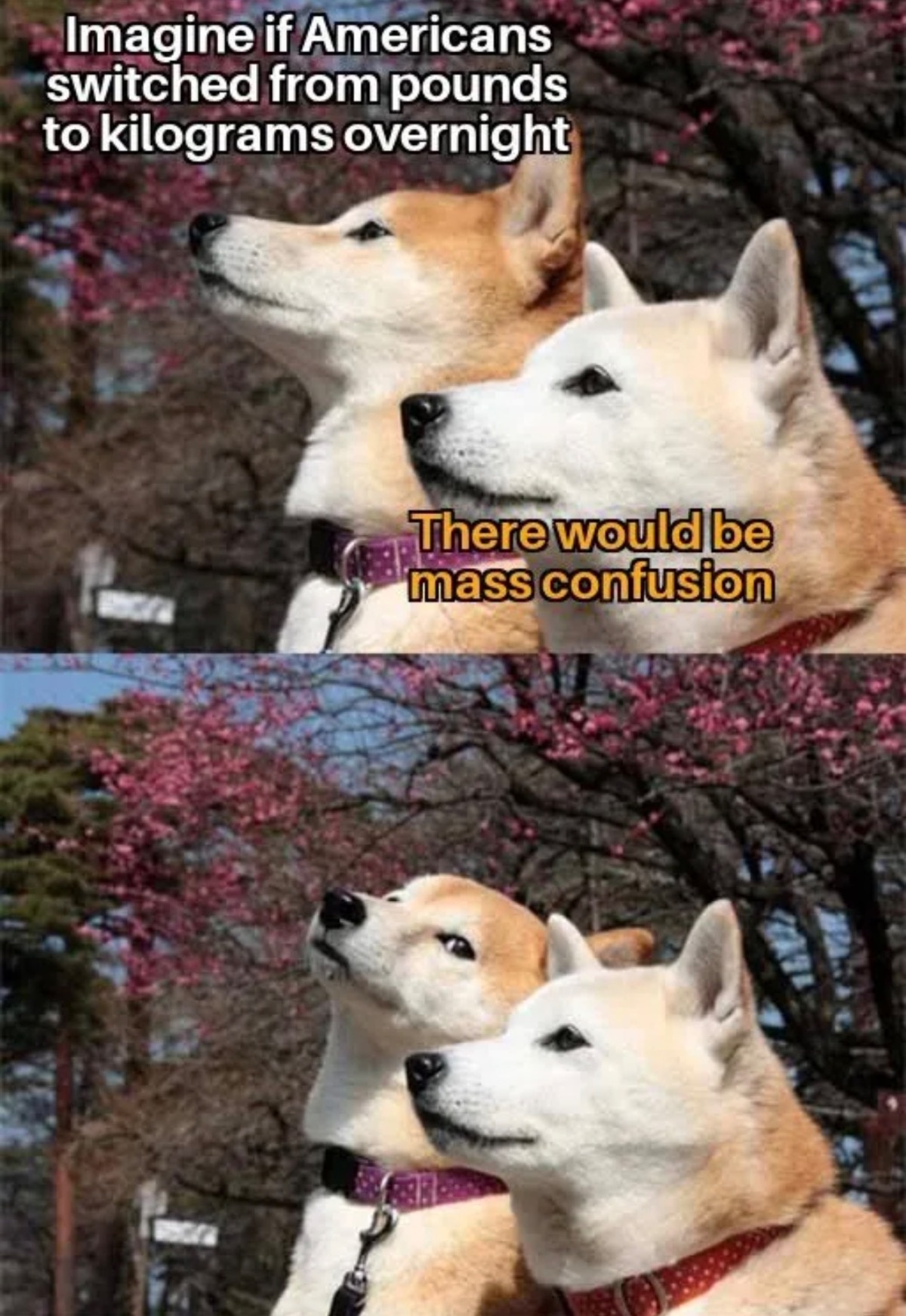 89f8eaed-708e-4d60-b801-cd48d2f606d1