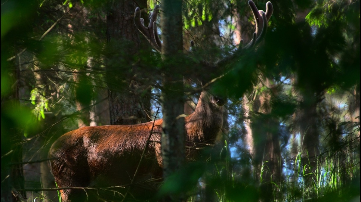 207ac47b-cfac-4228-8b5d-b523d92dfdbc