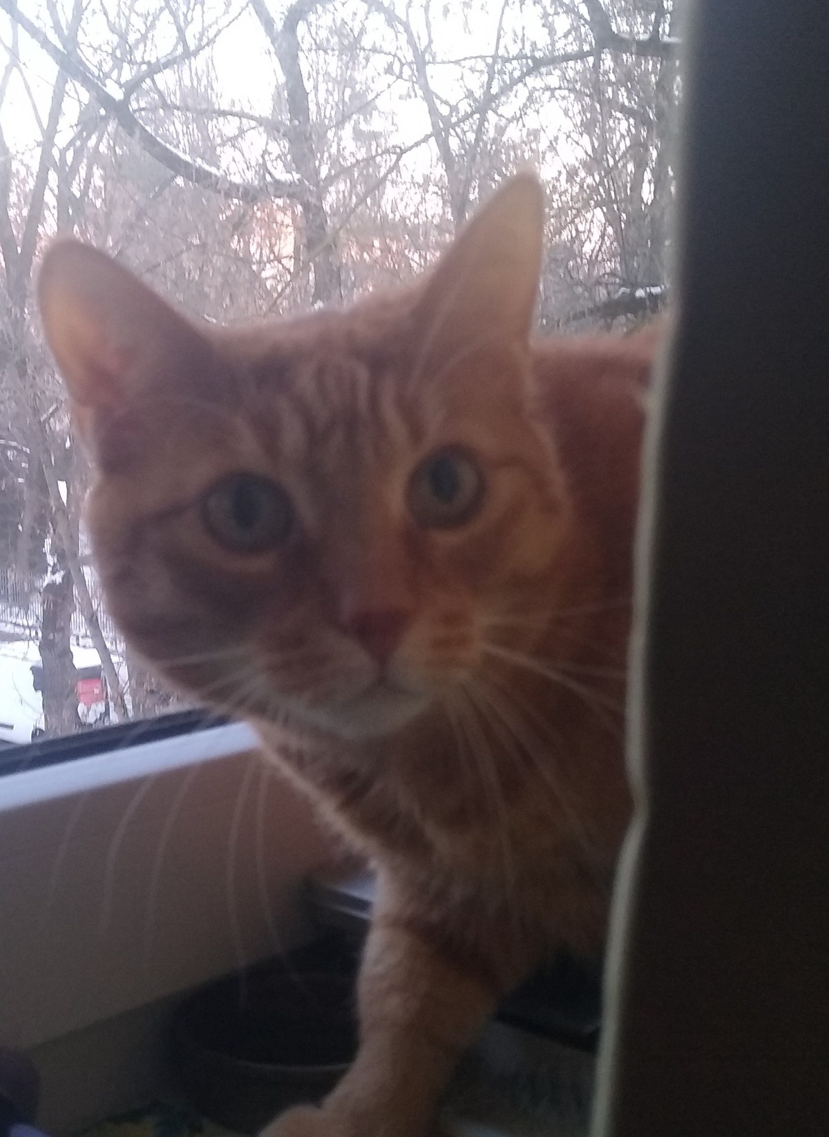 2accef55-2636-4a8a-b115-eff57bc7d9ce