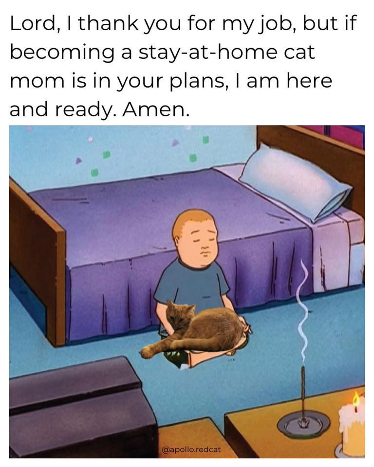 3a7fe772-b245-4eb3-928f-620859245aff