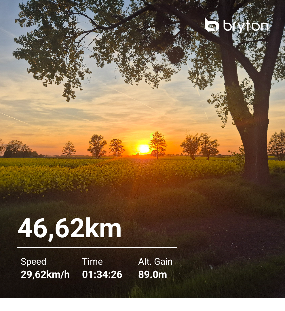 82b3cad8-8691-48b5-bfea-5c8bf38ebc1f