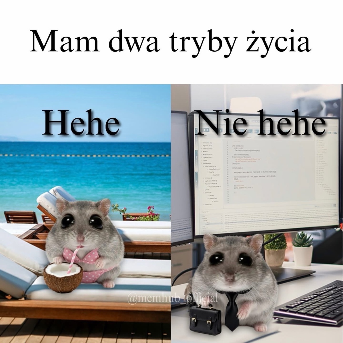 25e6c20d-3e46-4e08-91ad-f34d765c195e