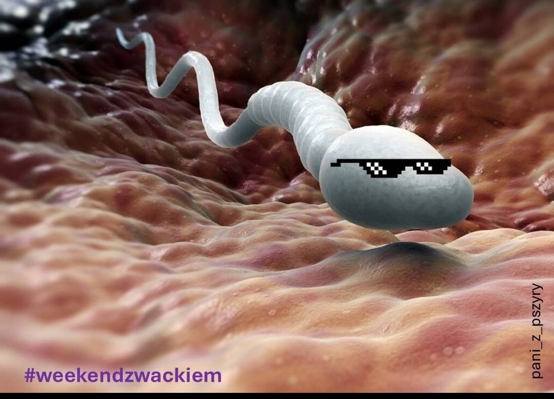 c40bd2b3-9b74-469b-b4d5-043ffdc9b478