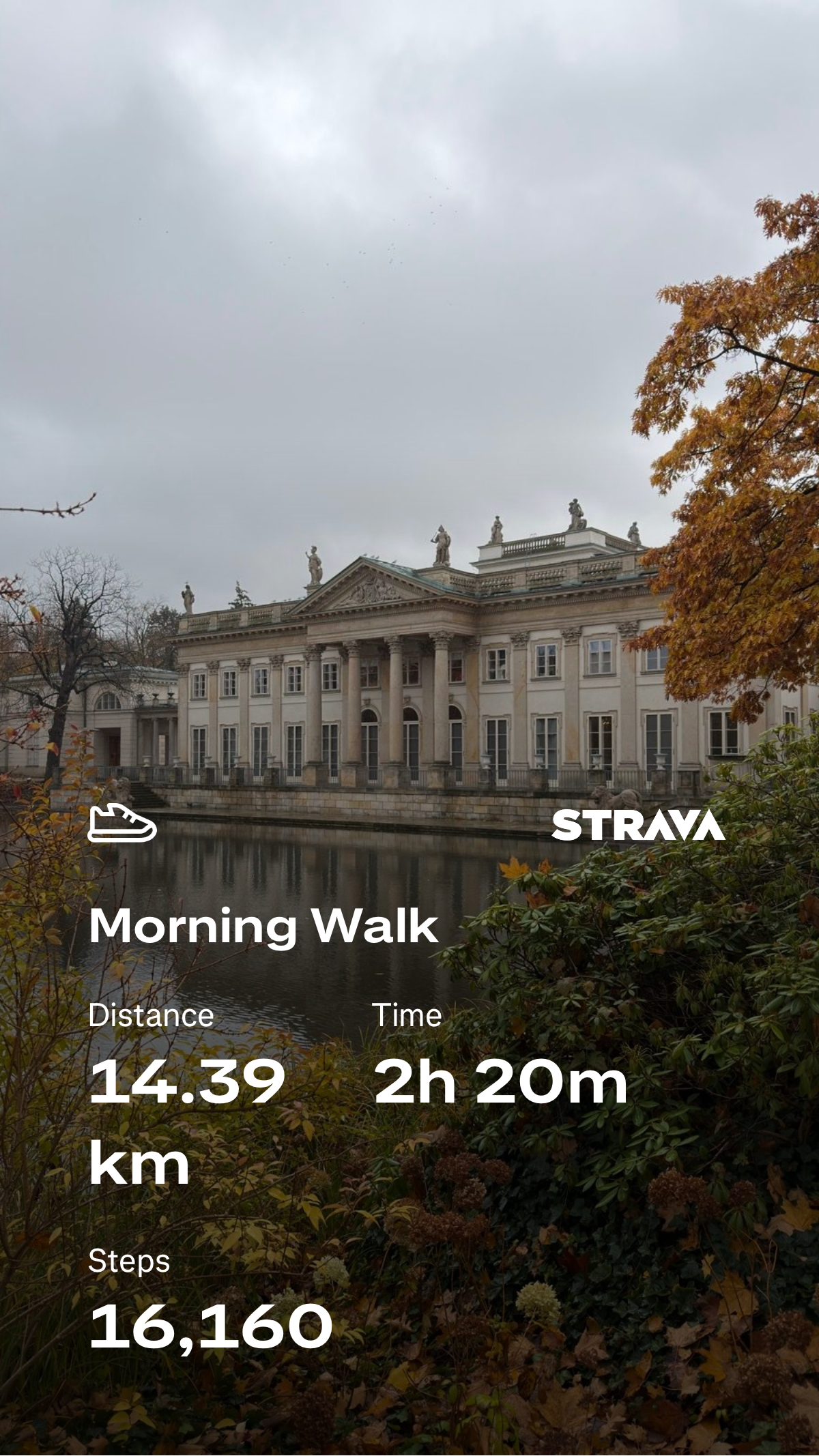 eb96f451-9e7d-4a85-ba28-385df8381c4a