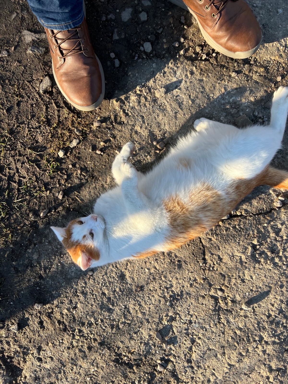 6b288270-14e6-4fb5-9275-89909d6f44b2