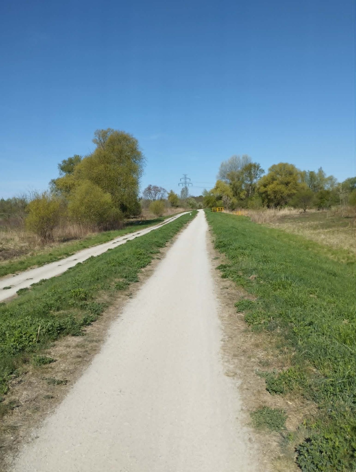 172c0c8a-d577-46fa-a067-e843cad5cdc2