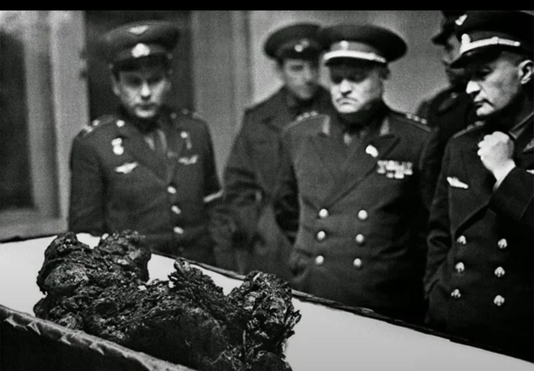 06a54313-4b4d-4b50-93b1-8aeaaba84151