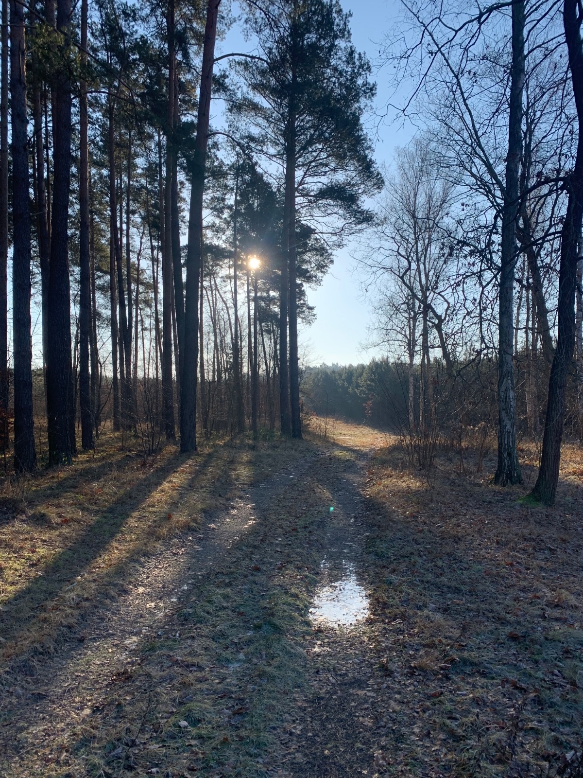 6f1c7074-d101-4f87-a7a9-a4d97e410f2d