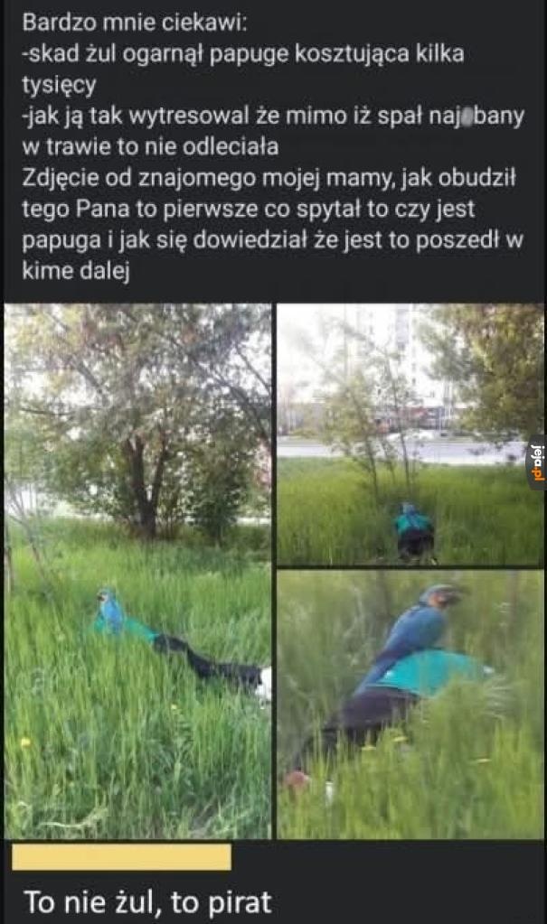 8a705cb2-01e9-429e-9c74-ea4d8c1f5874