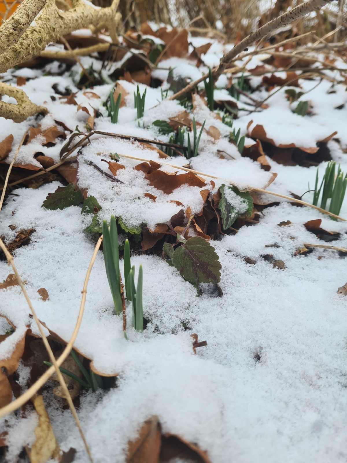 ff20f9a3-0dfb-47ce-9bf0-e532b331f945