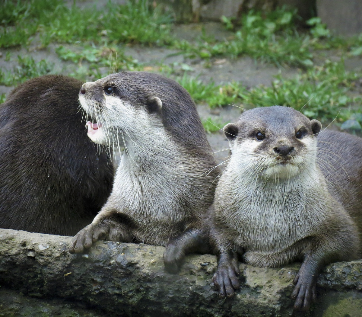 badfd66c-8d9b-4cc9-8a56-5839d585bd0b