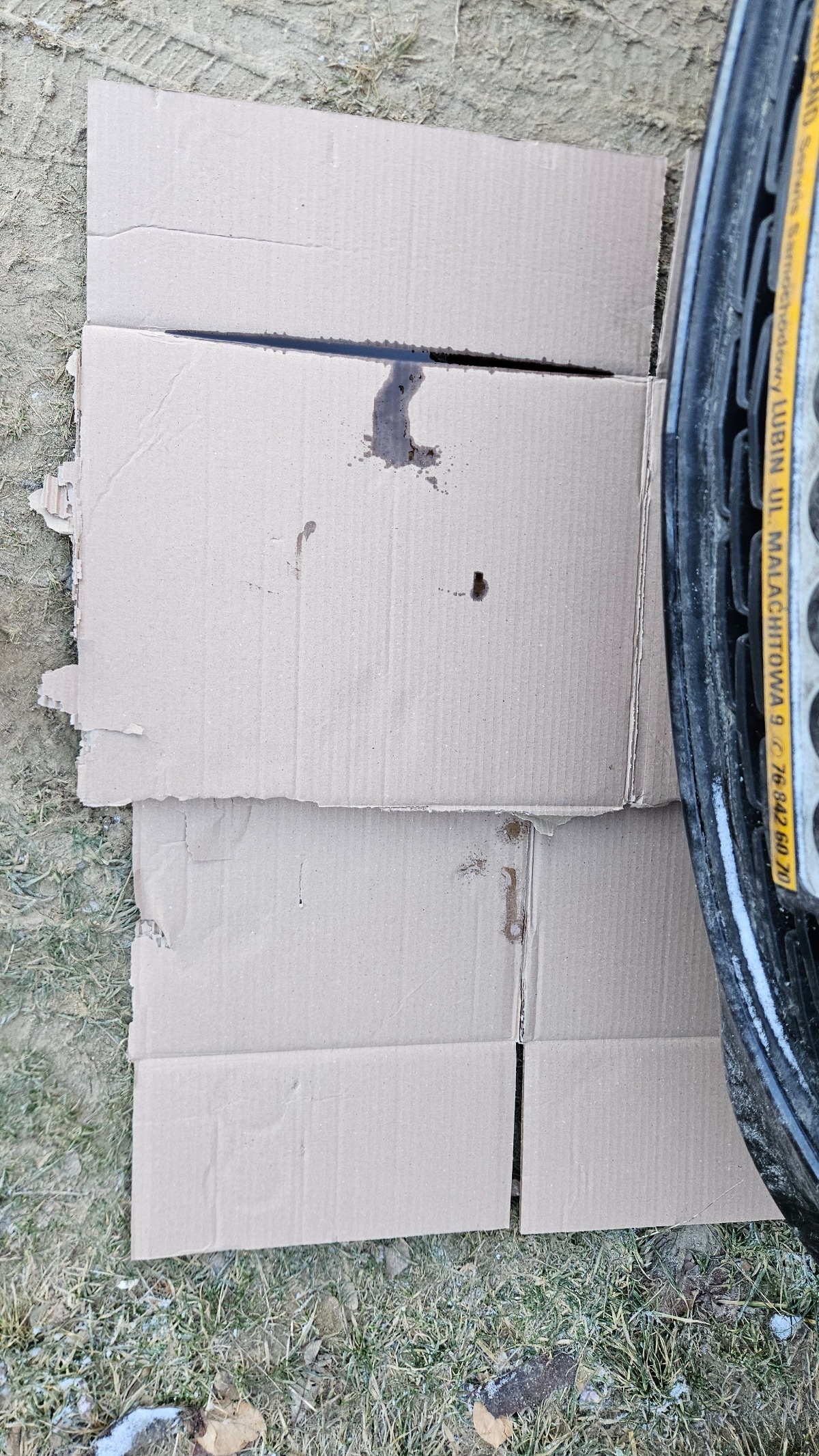 feb98ab6-ce47-4fb4-b3c5-a119da9dbfda