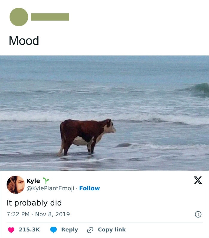 6fd2e6b7-5ed8-4222-86ed-f7ef0204acc7