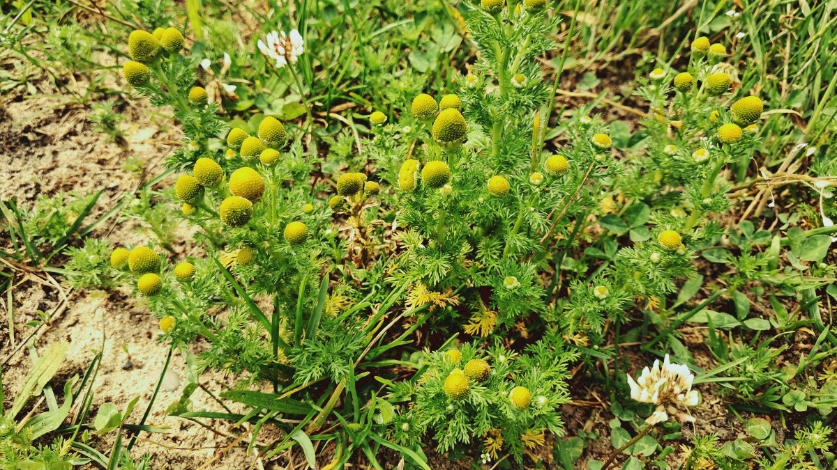 90b84b06-3e78-44b5-86c7-d9aa31cb84df