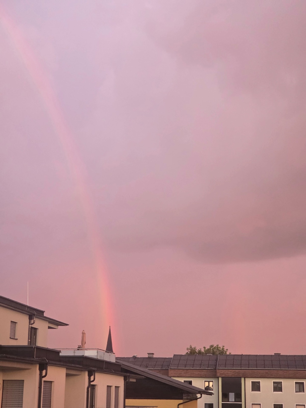 2a9b6910-bdd2-4cdc-98df-fb6d772b287b