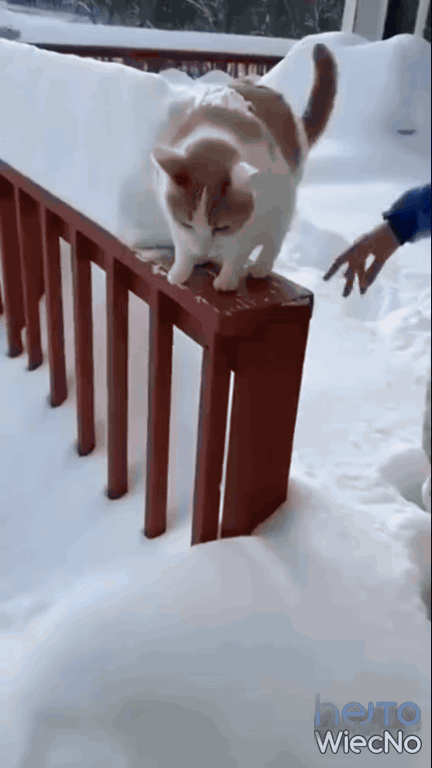 fe006090-4ccf-46ee-8e8f-80fba14048ff