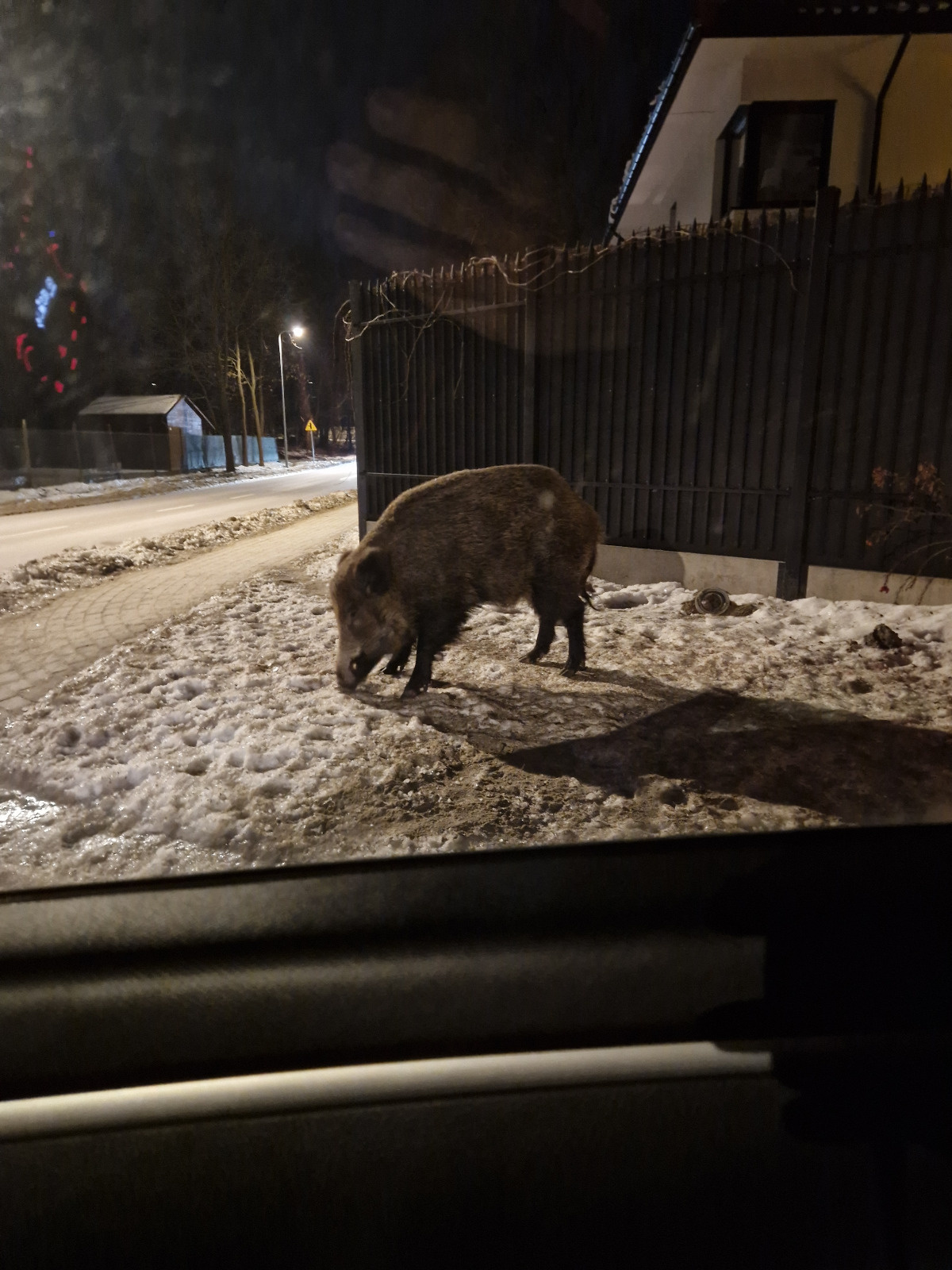 2c7748f0-1aa1-44fc-864f-2d4e93a66956