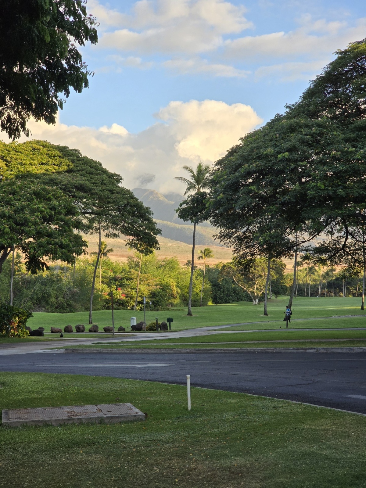 cfd6df4e-adce-4111-ae45-6ae733d7a234