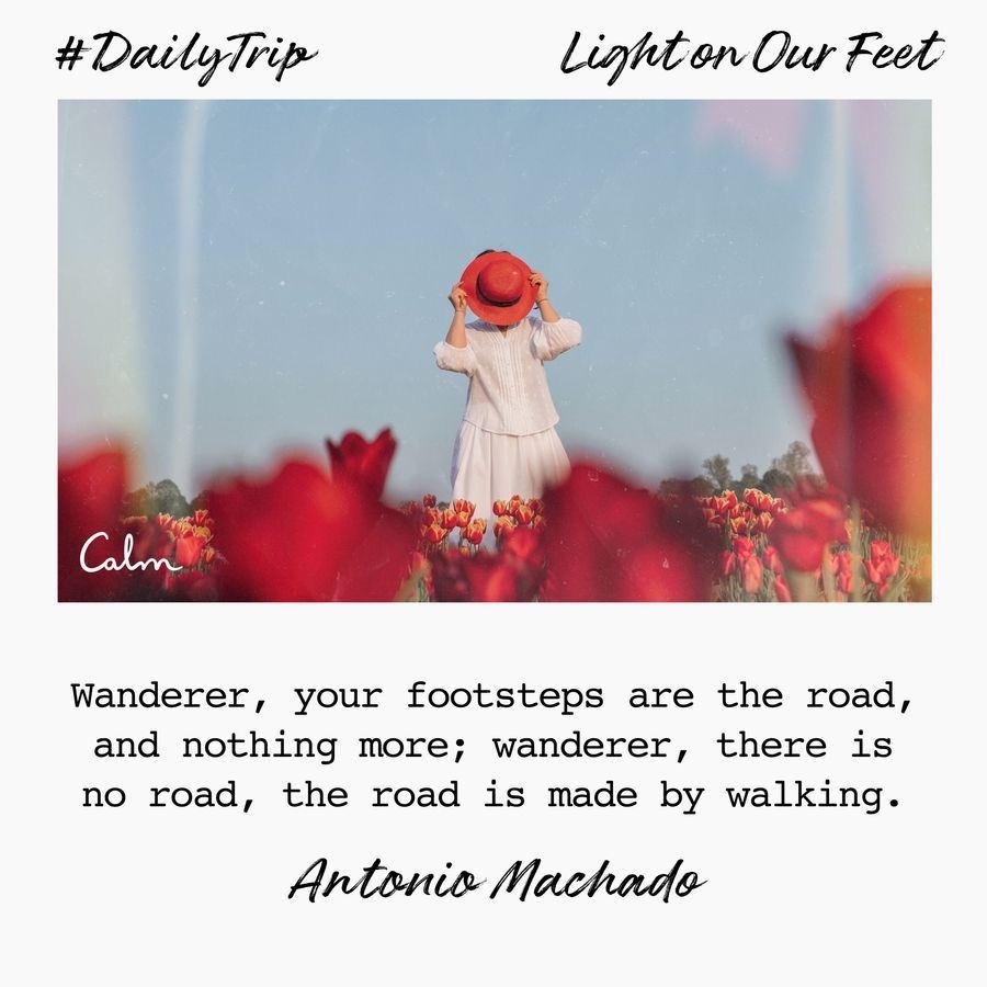 5ddbc137-42f2-4f2b-a247-3d401a2b5e75