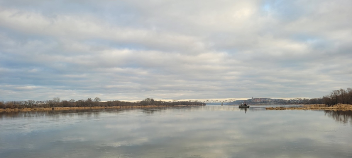 96e505a4-0a78-4242-bbca-1a8cebacc012