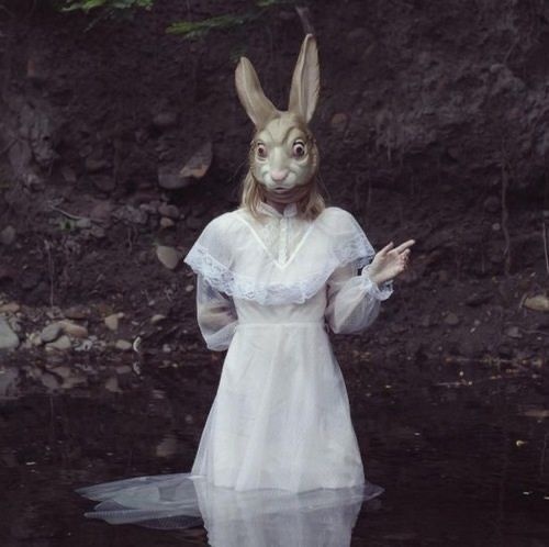 68de802b-3c58-4bf9-889c-e352c06d03e8