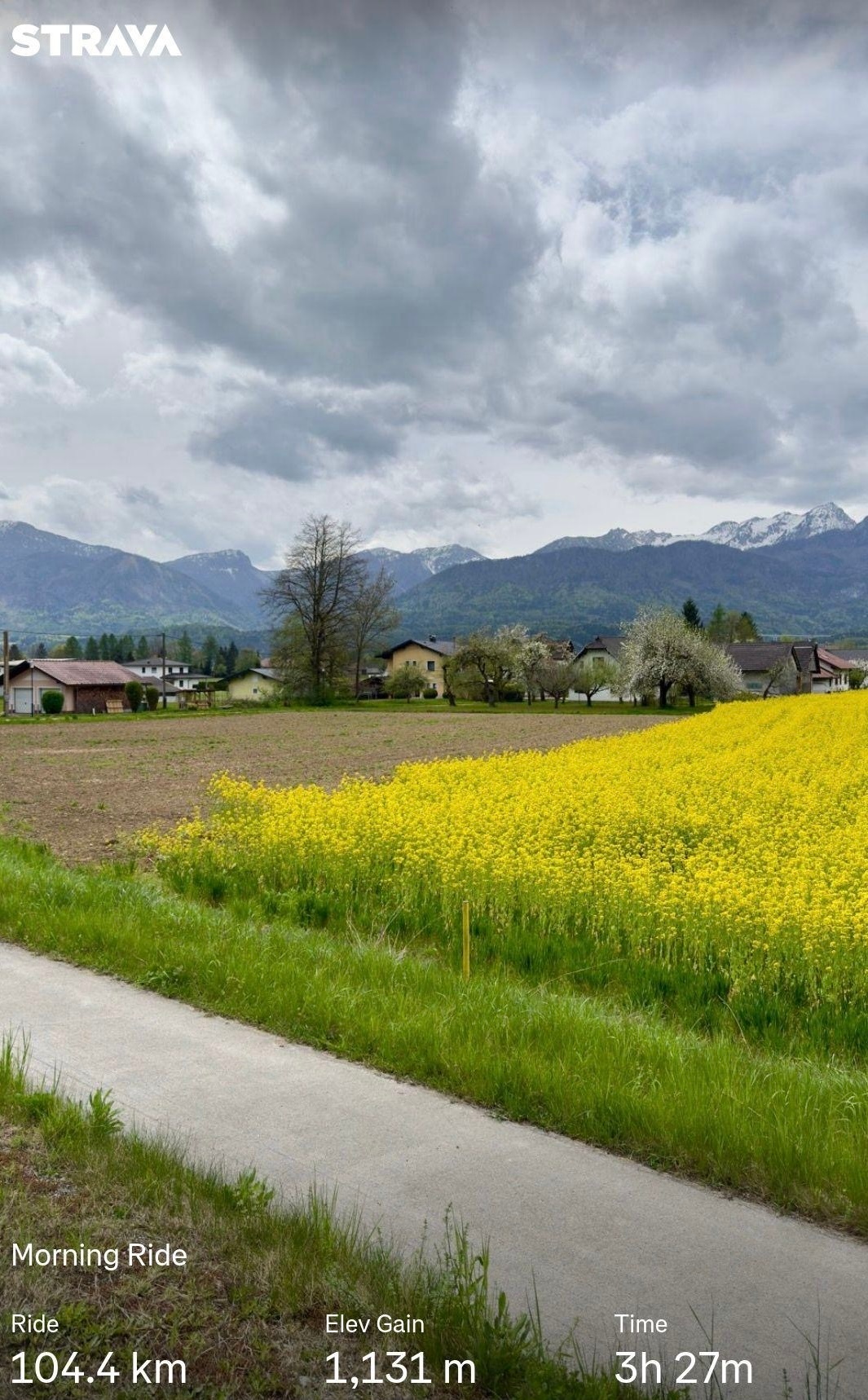 43aa3725-5ac3-4b8a-81c8-b843a2f14692