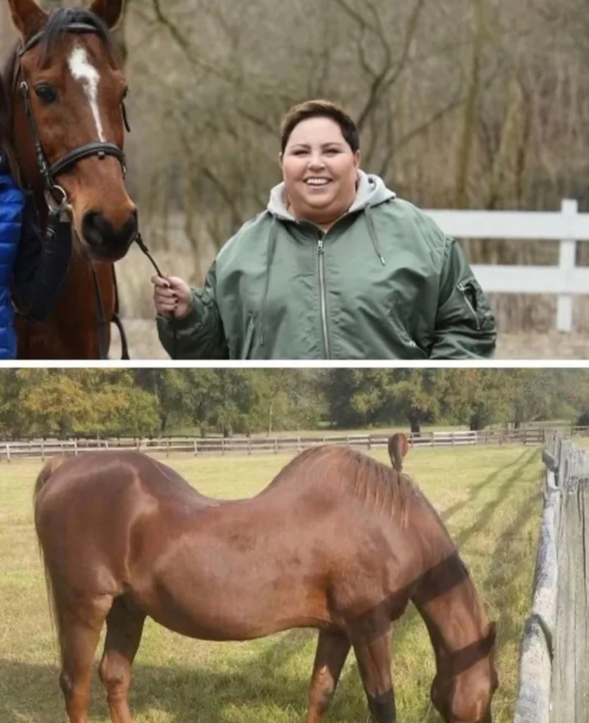 419dc72a-2f07-464a-b1f0-eec0b1679252