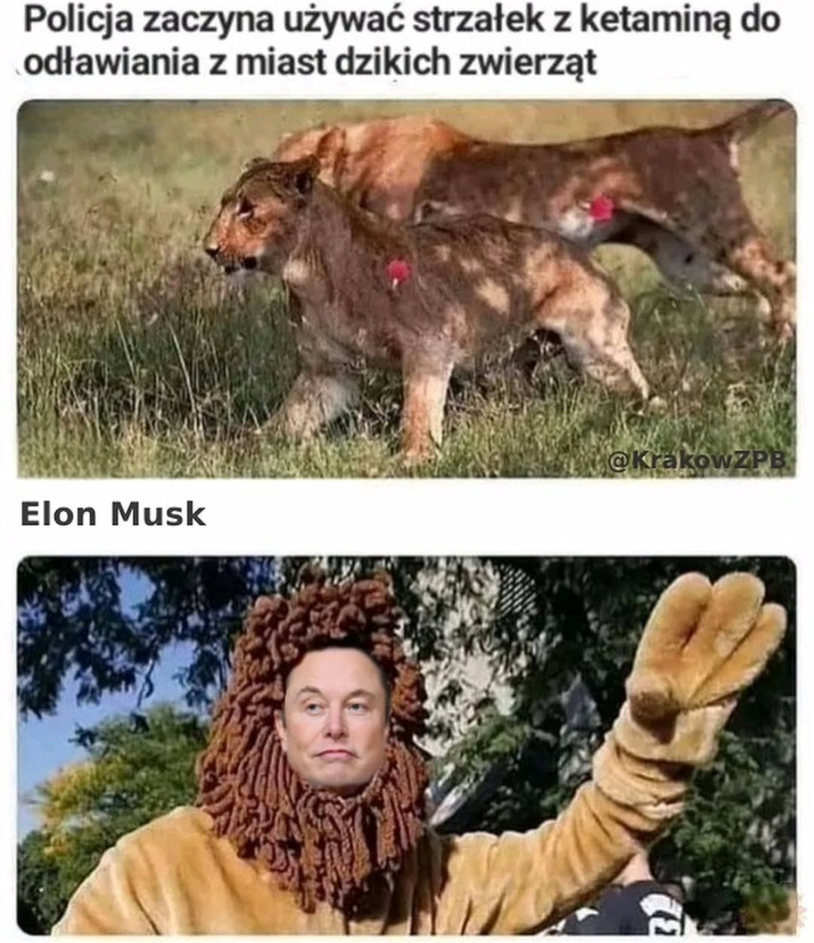 fb995c91-c9c8-4b9e-ae03-6f5894f0fd77