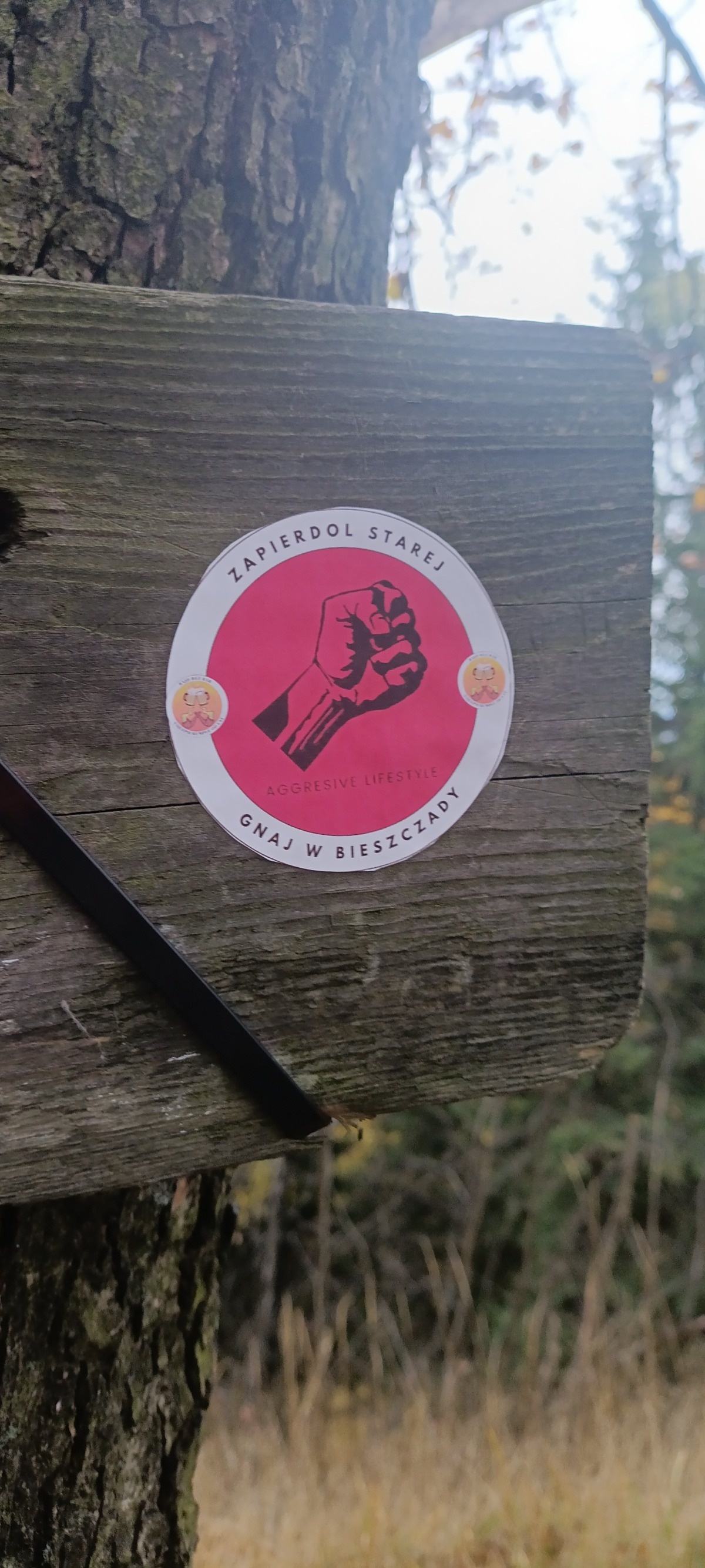 b93c3b91-8766-465f-bf15-6381a78dd8f2