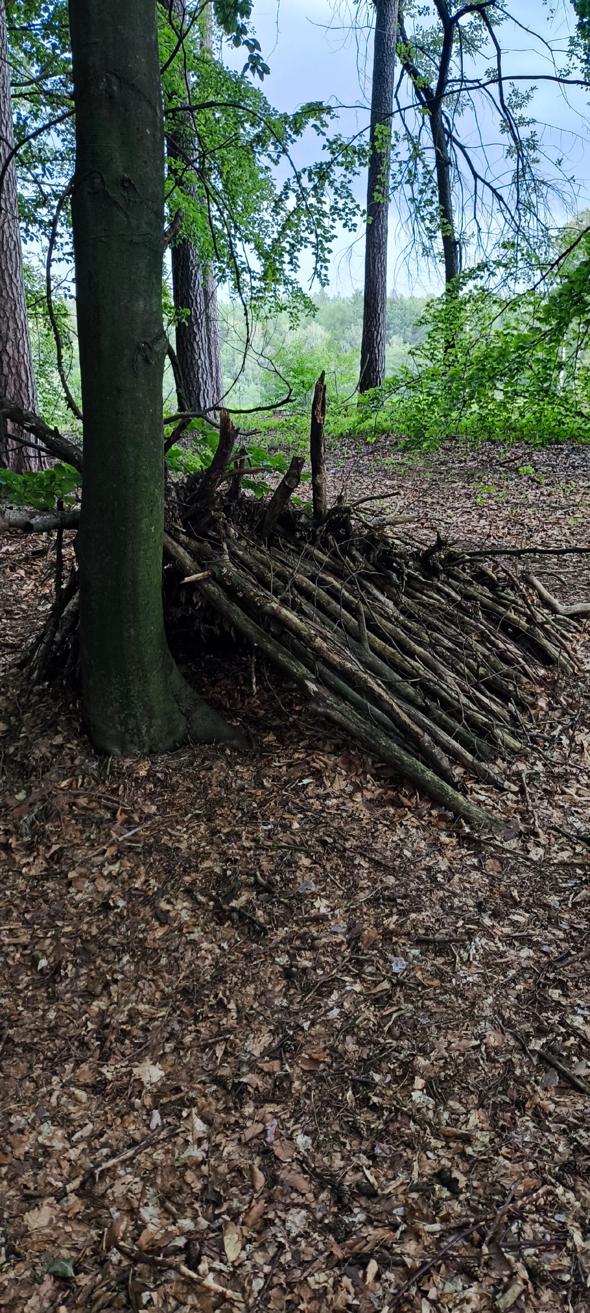 c85c1244-8bb8-41f4-9e5a-f3a6f93de048