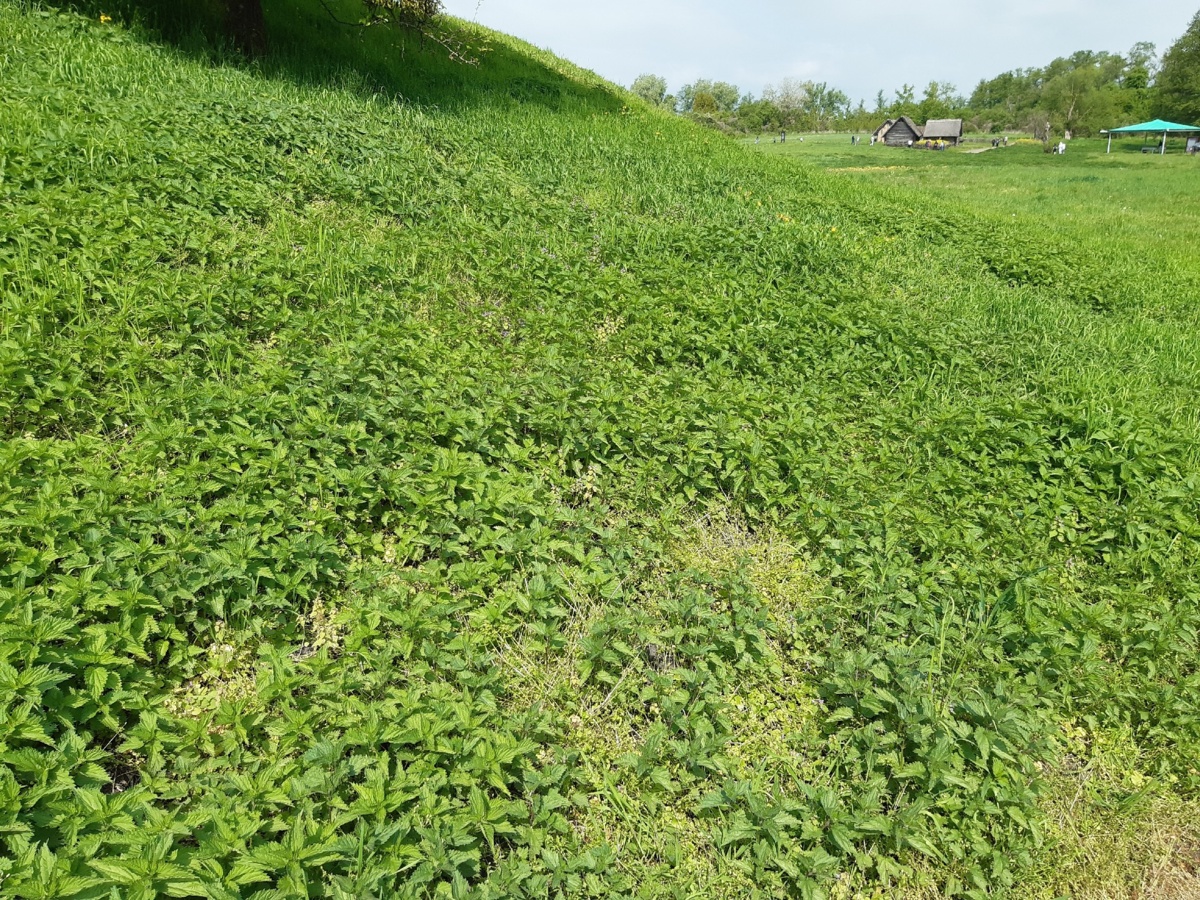 5bd5142f-c864-4326-9c49-06aba1fa6842