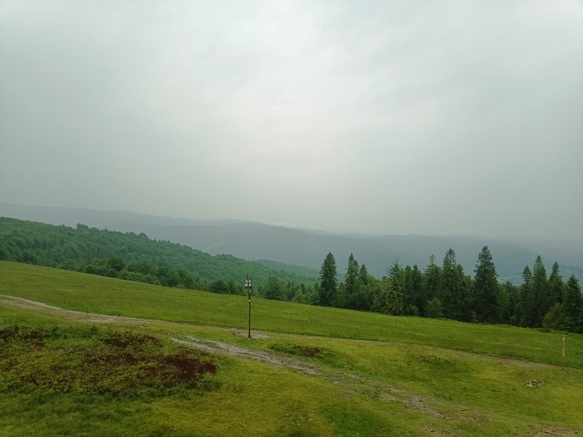 f5038d44-cb59-4eb8-8ba0-73330ddc0e0e