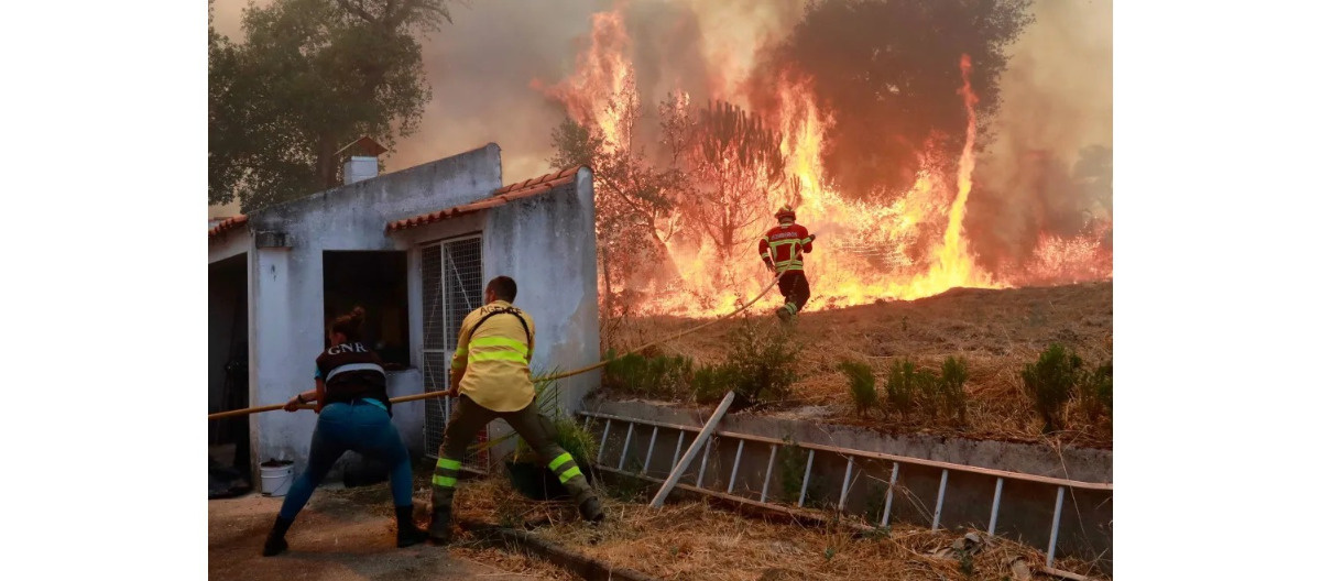 Wielkie pożary w Portugalii. Policja zatrzymała dwóch podpalaczy lasów