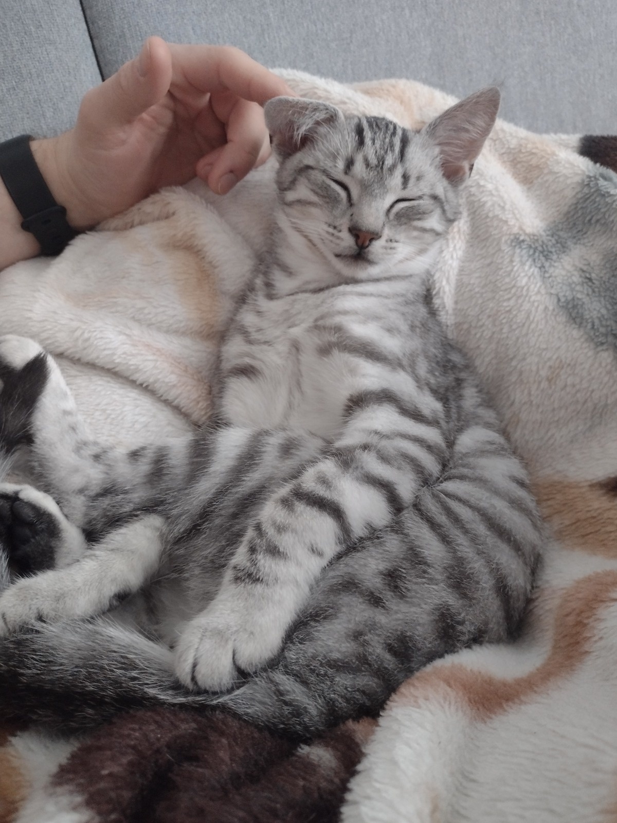 aebecde5-074b-4618-be62-d2d6e8c4e09d