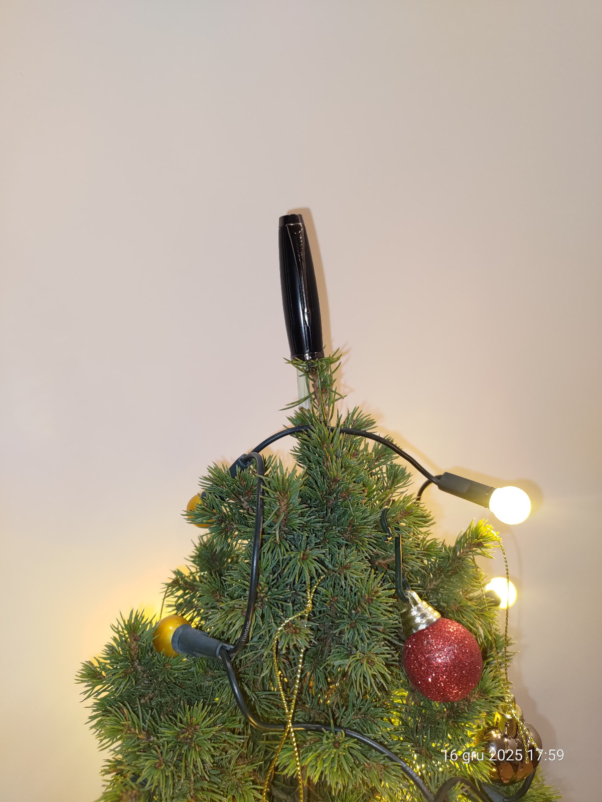 52a271e6-fb3a-4e4a-8ac5-7743f9bd51a7