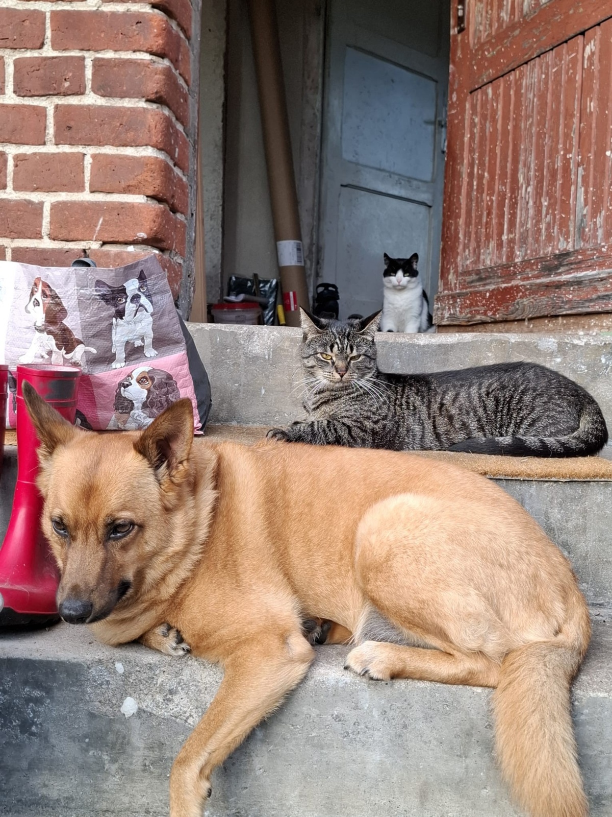 9a78a0a5-8ae4-4663-841b-49256621c54e