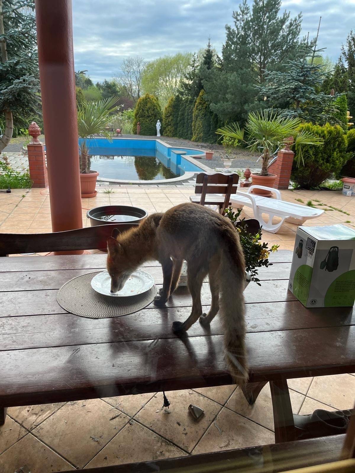 4e3f09eb-1265-4670-ac70-27155867b36e