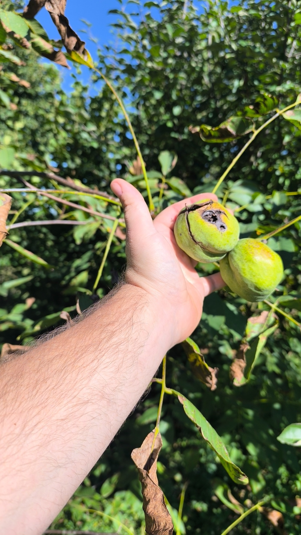 de4d807c-fc9e-4640-b36e-3b53c3de34f6