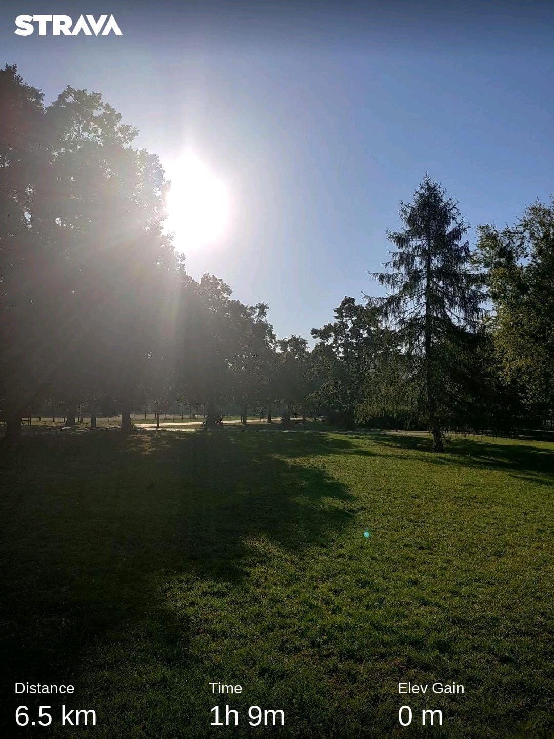 cdcef1fb-9333-49b0-8e38-fdb31653cf7e