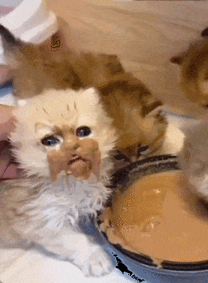 cf24286b-c870-4748-b40a-6204a2e5160e