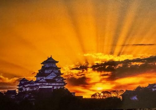 dc209cb4-9965-4d7c-a957-e77214a44bca